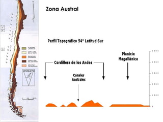 Zona Austral 