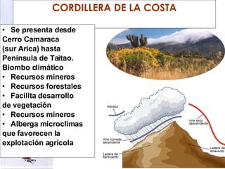 CORDILLERA DE LA COSTA Se presenta desde Cerro Camaraca  (sur Arica) hasta  Península de Taitao. Biombo climático Recursos mineros Recursos forestales Facilita desarrollo de vegetación Recursos mineros Alberga microclimas  que favorecen la explotación agrícola                                     