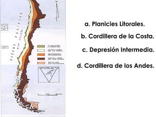 a. Planicies Litorales. b. Cordillera de la Costa. c. Depresión Intermedia. d. Cordillera de los Andes. 