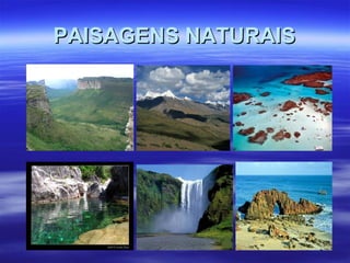 PAISAGENS NATURAISPAISAGENS NATURAIS
 