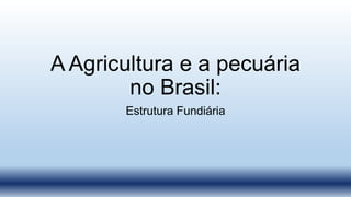 A Agricultura e a pecuária
no Brasil:
Estrutura Fundiária
 