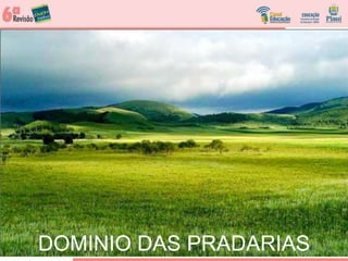 DOMINIO DAS PRADARIAS
 