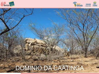 DOMINIO DA CAATINGA
 
