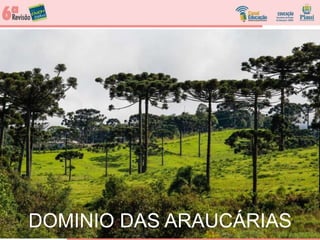 DOMINIO DAS ARAUCÁRIAS
 