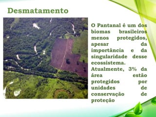 Desmatamento
 O Pantanal é um dos
biomas brasileiros
menos protegidos,
apesar da
importância e da
singularidade desse
ecossistema.
Atualmente, 3% da
área estão
protegidos por
unidades de
conservação de
proteção
 