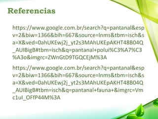 Referencias
https://www.google.com.br/search?q=pantanal&esp
v=2&biw=1366&bih=667&source=lnms&tbm=isch&s
a=X&ved=0ahUKEwj2j_yt2s3MAhUKEpAKHT48B04Q
_AUIBigB#tbm=isch&q=pantanal+polui%C3%A7%C3
%A3o&imgrc=ZWnGtD9TGQCEjM%3A
https://www.google.com.br/search?q=pantanal&esp
v=2&biw=1366&bih=667&source=lnms&tbm=isch&s
a=X&ved=0ahUKEwj2j_yt2s3MAhUKEpAKHT48B04Q
_AUIBigB#tbm=isch&q=pantanal+fauna+&imgrc=Vm
c1uI_OFfP44M%3A
 