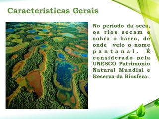 Caracteristicas Gerais
No período da seca,
o s r i o s s e c a m e
sobra o barro, de
onde veio o nome
p a n t a n a l . É
considerado pela
UNESCO Patrimonio
Natural Mundial e
Reserva da Biosfera.
 