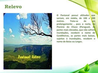 Relevo
O Pantanal possui altitudes que
variam, em média, de 100 a 200
metros. Trata-se de um
prolongamento , para o norte, da
Planície do Chaco (Paraguai). As
partes mais elevadas, que não sofrem
inundações, recebem o nome de
Cordilheiras, as partes mais baixas,
sujeitas á inundações, recebem o
nome de Baías ou Largos.
 