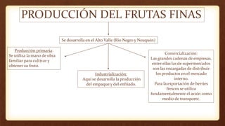 PRODUCCIÓN DEL FRUTAS FINAS
Producción primaria:
Se utiliza la mano de obra
familiar para cultivar y
obtener su fruto.
Se desarrolla en el Alto Valle (Rio Negro y Neuquén)
Industrialización:
Aquí se desarrolla la producción
del empaque y del enfriado.
Comercialización:
Las grandes cadenas de empresas,
entre ellas las de supermercados
son las encargadas de distribuir
los productos en el mercado
interno.
Para la exportación de berries
frescos se utiliza
fundamentalmente el avión como
medio de transporte.
 