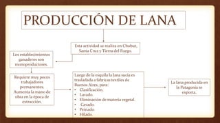 PRODUCCIÓN DE LANA
Esta actividad se realiza en Chubut,
Santa Cruz y Tierra del Fuego.
Los establecimientos
ganaderos son
monoproductores.
Requiere muy pocos
trabajadores
permanentes.
Aumenta la mano de
obra en la época de
extracción.
La lana producida en
la Patagonia se
exporta.
Luego de la esquila la lana sucia es
trasladada a fabricas textiles de
Buenos Aires, para:
• Clasificación.
• Lavado.
• Eliminación de materia vegetal.
• Cavado.
• Peinado.
• Hilado.
 