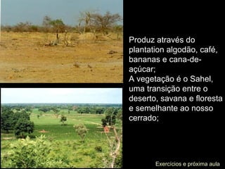 Produz através do plantation algodão, café, bananas e cana-de-açúcar; A vegetação é o Sahel, uma transição entre o deserto, savana e floresta e semelhante ao nosso cerrado; Exercícios e próxima aula 