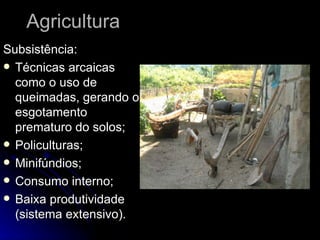 Agricultura Subsistência: Técnicas arcaicas como o uso de queimadas, gerando o esgotamento  prematuro do solos; Policulturas; Minifúndios; Consumo interno; Baixa produtividade (sistema extensivo). 