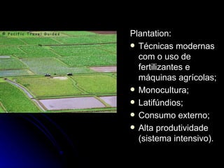 Plantation: Técnicas modernas com o uso de fertilizantes e máquinas agrícolas; Monocultura; Latifúndios; Consumo externo; Alta produtividade (sistema intensivo). 
