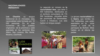 NACIONALIDADES
INDÍGENAS:
Los Chachis su lengua
tradicional es el: cha’palaa, esta
nacionalidad está formada por 10
000 personas. Es la más
numerosa de los pueblos
originarios de la provincia y está
asentada en los cantones Eloy
Alfaro, San Lorenzo, Rio Verde,
Muisne y Quinindé.
La segunda en número es la
nacionalidad Awa, que tiene 3
500 habitantes, distribuidos en
un territorio comunitario de 115
000 hectáreas, ubicadas entre
las provincias de Esmeraldas,
Carchi e Imbabura. Los awa
hablan en lengua awapit.
La tercera nacionalidad es
la Épera, que bordea los
150 habitantes, que están
asentados en la zona
urbana y rural de la
parroquia de Borbón. Ellos
hablan en el idioma sia
pedee.
 