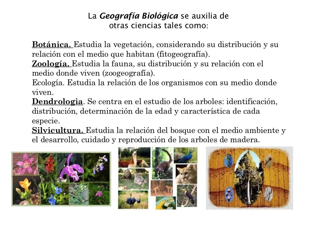 Geografia principios basicos