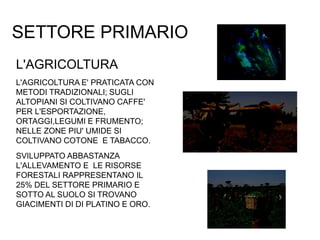 SETTORE PRIMARIO
L'AGRICOLTURA
L'AGRICOLTURA E' PRATICATA CON
METODI TRADIZIONALI; SUGLI
ALTOPIANI SI COLTIVANO CAFFE'
PER L'ESPORTAZIONE,
ORTAGGI,LEGUMI E FRUMENTO;
NELLE ZONE PIU' UMIDE SI
COLTIVANO COTONE E TABACCO.
SVILUPPATO ABBASTANZA
L'ALLEVAMENTO E LE RISORSE
FORESTALI RAPPRESENTANO IL
25% DEL SETTORE PRIMARIO E
SOTTO AL SUOLO SI TROVANO
GIACIMENTI DI DI PLATINO E ORO.
 