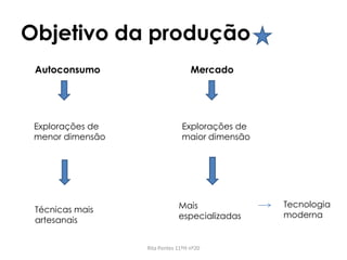 Objetivo da produção
Rita Pontes 11ºH nº20
Autoconsumo Mercado
Explorações de
menor dimensão
Técnicas mais
artesanais
Explorações de
maior dimensão
Mais
especializadas
Tecnologia
moderna
 