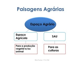 Paisagens Agrárias
Espaço Agrário
Espaço
Agrícola
SAU
Para a produção
vegetal e/ou
animal
Para as
culturas
Rita Pontes 11ºH nº20
 