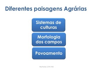 Diferentes paisagens Agrárias
Rita Pontes 11ºH nº20
Sistemas de
culturas
Morfologia
dos campos
Povoamento
 