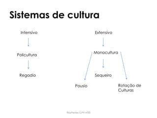 Sistemas de cultura
Rita Pontes 11ºH nº20
Intensivo Extensivo
Policultura
Monocultura
Regadio Sequeiro
Pousio Rotação de
Culturas
 