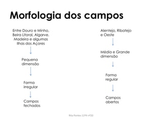 Morfologia dos campos
Rita Pontes 11ºH nº20
Entre Douro e Minho,
Beira Litoral, Algarve,
Madeira e algumas
Ilhas dos Açores
Pequena
dimensão
Campos
fechados
Forma
irregular
Alentejo, Ribatejo
e Oeste
Média e Grande
dimensão
Forma
regular
Campos
abertos
 