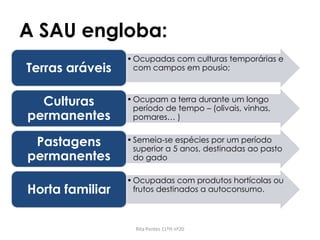 A SAU engloba:
•Ocupadas com culturas temporárias e
com campos em pousio;Terras aráveis
•Ocupam a terra durante um longo
período de tempo – (olivais, vinhas,
pomares… )
Culturas
permanentes
•Semeia-se espécies por um período
superior a 5 anos, destinadas ao pasto
do gado
Pastagens
permanentes
•Ocupadas com produtos hortícolas ou
frutos destinados a autoconsumo.Horta familiar
Rita Pontes 11ºH nº20
 