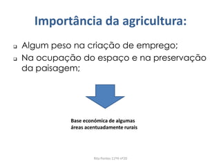 Importância da agricultura:
 Algum peso na criação de emprego;
 Na ocupação do espaço e na preservação
da paisagem;
Base económica de algumas
áreas acentuadamente rurais
Rita Pontes 11ºH nº20
 