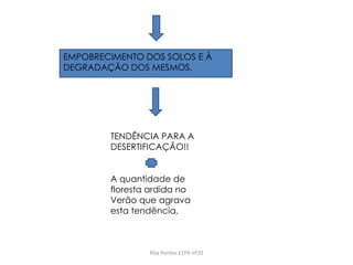 Rita Pontes 11ºH nº20
EMPOBRECIMENTO DOS SOLOS E À
DEGRADAÇÃO DOS MESMOS.
TENDÊNCIA PARA A
DESERTIFICAÇÃO!!
A quantidade de
floresta ardida no
Verão que agrava
esta tendência.
 