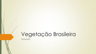 Vegetação Brasileira
Geografia
 