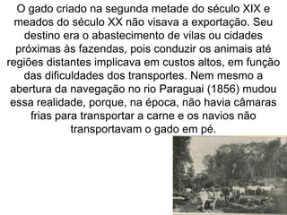 O gado criado na segunda metade do século XIX e
meados do século XX não visava a exportação. Seu
destino era o abastecimento de vilas ou cidades
próximas às fazendas, pois conduzir os animais até
regiões distantes implicava em custos altos, em função
das dificuldades dos transportes. Nem mesmo a
abertura da navegação no rio Paraguai (1856) mudou
essa realidade, porque, na época, não havia câmaras
frias para transportar a carne e os navios não
transportavam o gado em pé.
 