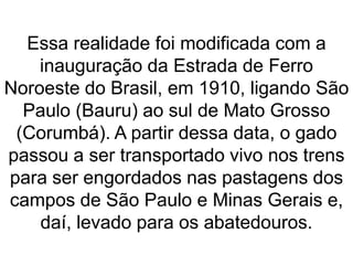 Essa realidade foi modificada com a
inauguração da Estrada de Ferro
Noroeste do Brasil, em 1910, ligando São
Paulo (Bauru) ao sul de Mato Grosso
(Corumbá). A partir dessa data, o gado
passou a ser transportado vivo nos trens
para ser engordados nas pastagens dos
campos de São Paulo e Minas Gerais e,
daí, levado para os abatedouros.
 