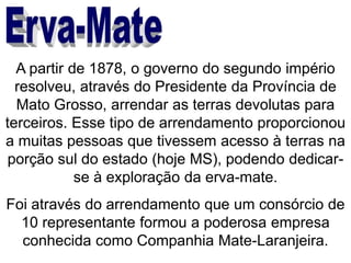 A partir de 1878, o governo do segundo império
resolveu, através do Presidente da Província de
Mato Grosso, arrendar as terras devolutas para
terceiros. Esse tipo de arrendamento proporcionou
a muitas pessoas que tivessem acesso à terras na
porção sul do estado (hoje MS), podendo dedicar-
se à exploração da erva-mate.
Foi através do arrendamento que um consórcio de
10 representante formou a poderosa empresa
conhecida como Companhia Mate-Laranjeira.
 