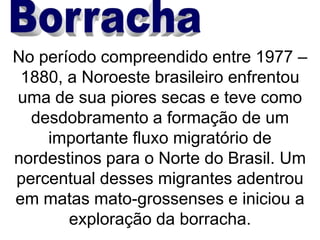 No período compreendido entre 1977 –
1880, a Noroeste brasileiro enfrentou
uma de sua piores secas e teve como
desdobramento a formação de um
importante fluxo migratório de
nordestinos para o Norte do Brasil. Um
percentual desses migrantes adentrou
em matas mato-grossenses e iniciou a
exploração da borracha.
 