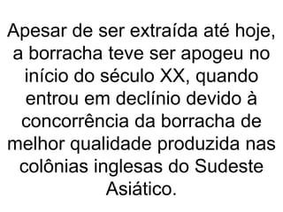 Apesar de ser extraída até hoje,
a borracha teve ser apogeu no
início do século XX, quando
entrou em declínio devido à
concorrência da borracha de
melhor qualidade produzida nas
colônias inglesas do Sudeste
Asiático.
 