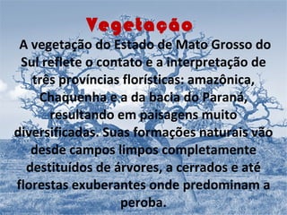 Vegetação   A vegetação do Estado de Mato Grosso do Sul reflete o contato e a interpretação de três províncias florísticas: amazônica, Chaquenha e a da bacia do Paraná, resultando em paisagens muito diversificadas. Suas formações naturais vão desde campos limpos completamente destituídos de árvores, a cerrados e até florestas exuberantes onde predominam a peroba. 