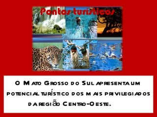 Pontos turísticos  O Mato Grosso do Sul apresenta um potencial turístico dos mais privilegiados da região Centro-Oeste.                         