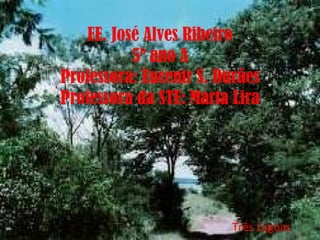 EE. José Alves Ribeiro 5º ano A Professora: Eucenir S. Durães Professora da STE: Marta Lira   Três Lagoas 