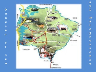 O r g u l h o  d e  s e r 