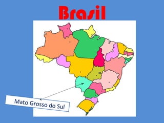 Brasil Mato Grosso do Sul 
