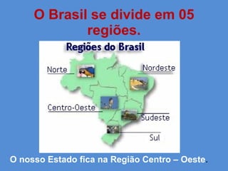 O Brasil se divide em 05 regiões. O nosso Estado fica na Região Centro – Oeste . 