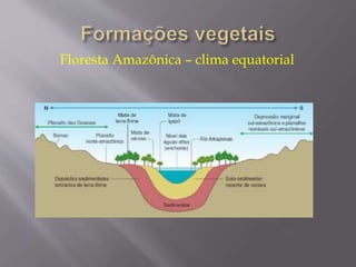 Floresta Amazônica – clima equatorial 
 