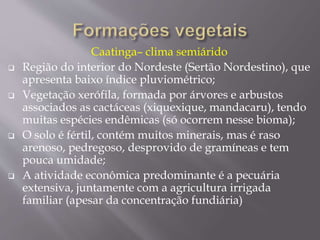 Caatinga– clima semiárido 
 Região do interior do Nordeste (Sertão Nordestino), que 
apresenta baixo índice pluviométrico; 
 Vegetação xerófila, formada por árvores e arbustos 
associados as cactáceas (xiquexique, mandacaru), tendo 
muitas espécies endêmicas (só ocorrem nesse bioma); 
 O solo é fértil, contém muitos minerais, mas é raso 
arenoso, pedregoso, desprovido de gramíneas e tem 
pouca umidade; 
 A atividade econômica predominante é a pecuária 
extensiva, juntamente com a agricultura irrigada 
familiar (apesar da concentração fundiária) 
 