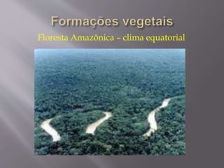 Floresta Amazônica – clima equatorial 
 