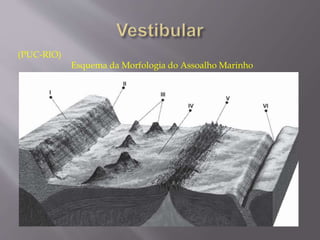 (PUC-RIO) 
Esquema da Morfologia do Assoalho Marinho 
 