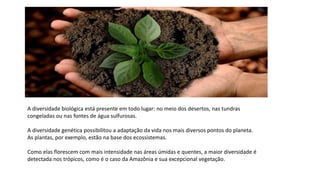 A diversidade biológica está presente em todo lugar: no meio dos desertos, nas tundras
congeladas ou nas fontes de água sulfurosas.
A diversidade genética possibilitou a adaptação da vida nos mais diversos pontos do planeta.
As plantas, por exemplo, estão na base dos ecossistemas.
Como elas florescem com mais intensidade nas áreas úmidas e quentes, a maior diversidade é
detectada nos trópicos, como é o caso da Amazônia e sua excepcional vegetação.
 
