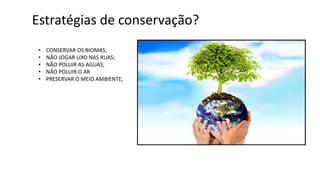 Estratégias de conservação?
• CONSERVAR OS BIOMAS;
• NÃO JOGAR LIXO NAS RUAS;
• NÃO POLUIR AS AGUAS;
• NÃO POLUIR O AR
• PRESERVAR O MEIO AMBIENTE;
 