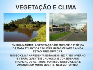 EM SUA MAIORIA, A VEGETAÇÃO DO MUNICÍPIO É TÍPICA
DA MATA ATLÂNTICA E MUITAS MATAS CILIARES AINDA
ESTÃO PRESERVADAS.
NOSSO CLIMA APRESENTA ESTIAGEM (SECA) NO INVERNO
E VERÃO QUENTE E CHUVOSO. É CONSIDERADO
TROPICAL DE ALTITUDE, POR ISSO NOSSO CLIMA É
AMENO: NEM MUITO QUENTE, NEM MUITO FRIO.
 