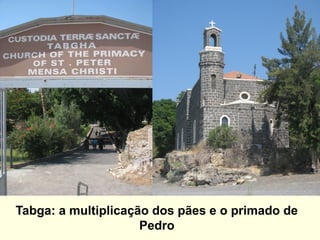 Tabga: a multiplicação dos pães e o primado de
Pedro
 