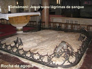 Getsêmani: Jesus suou lágrimas de sangue
Rocha da agonia
 