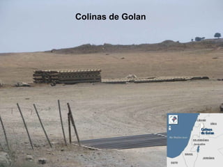 Colinas de Golan
 